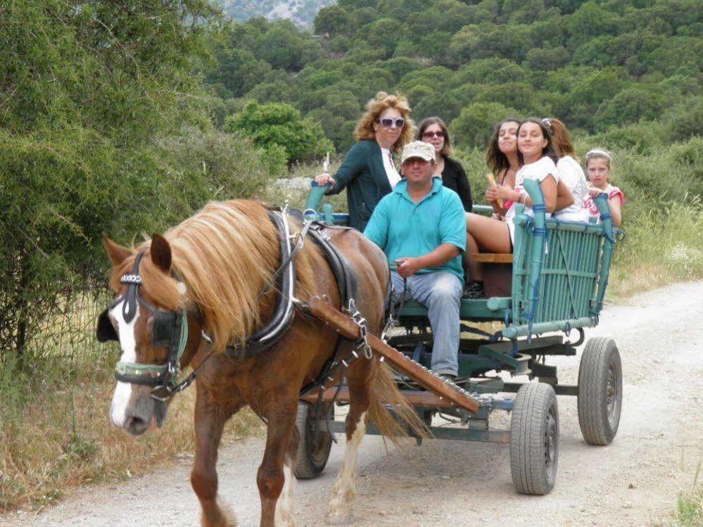 Lefkoritis Resort Askifou Sfakia Petrés 外观 照片